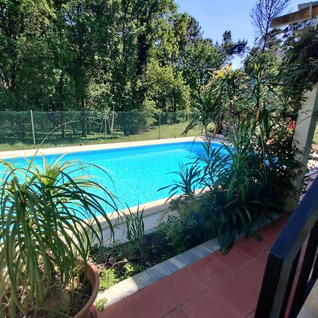 Sossego Na Cidade Viseu Εξωτερικό φωτογραφία